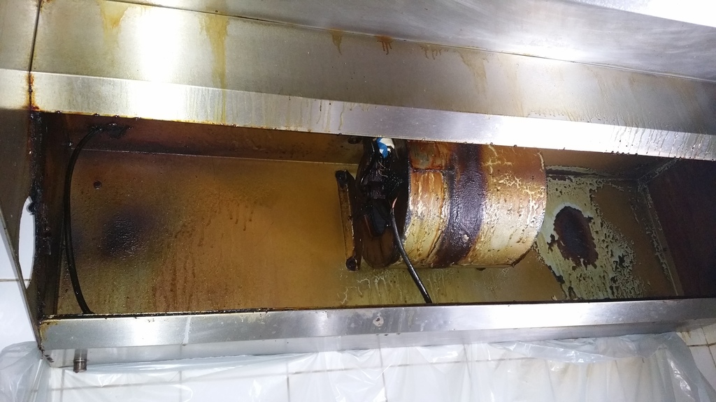 L'éradication des nids de guêpes